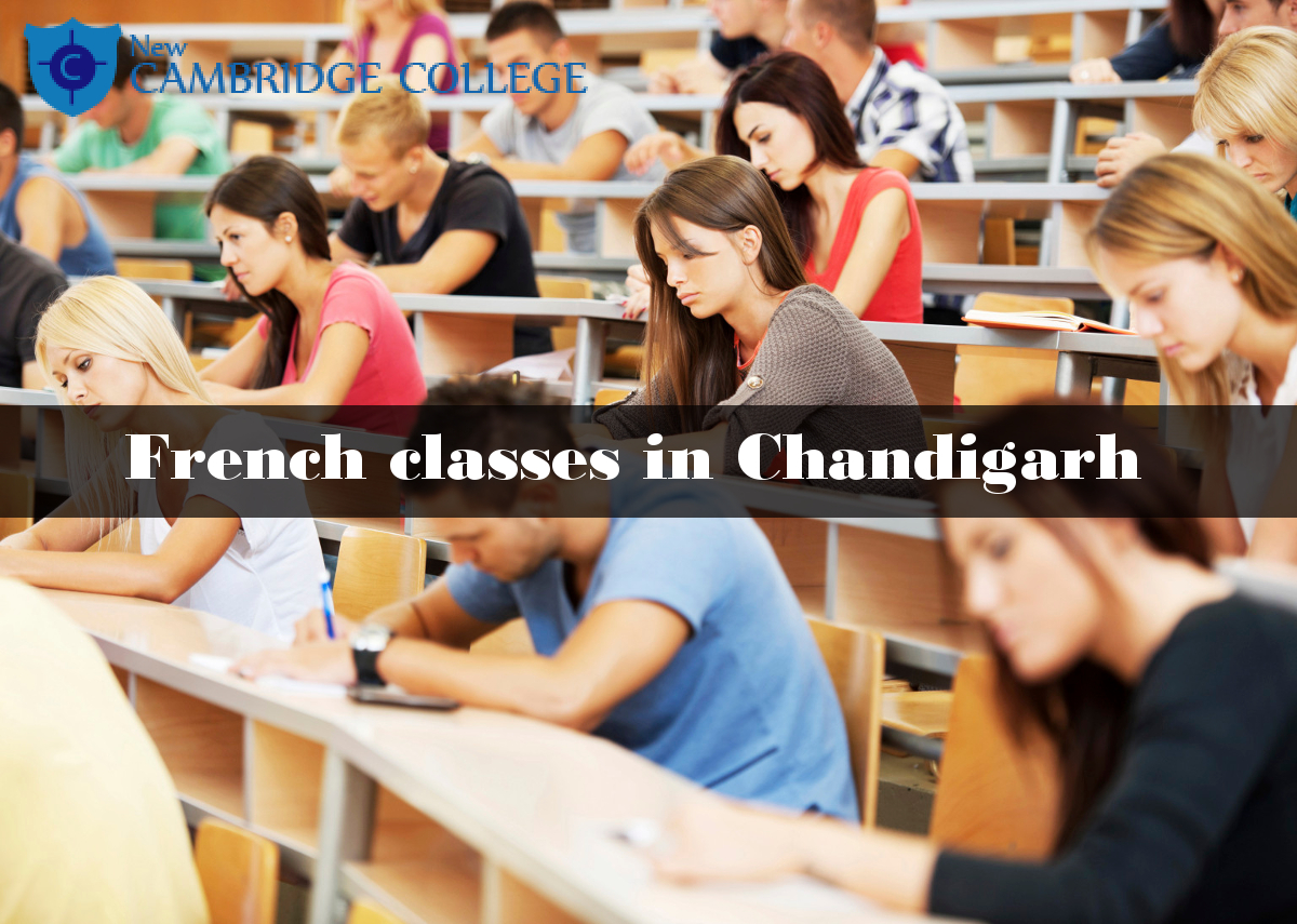 5 Interesting Careers You Can Opt for After Getting a Degree in French