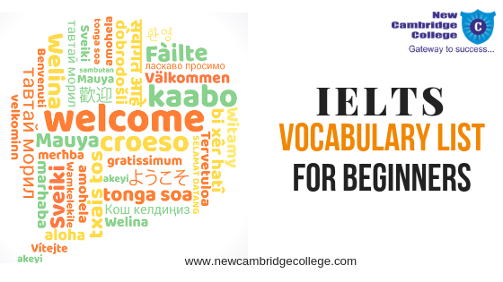 IELTS Vocabulary List For Beginners